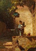 Carl Spitzweg, Der Kaktusfreund